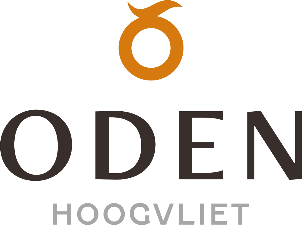 https://www.nieuwbouw-hoogvliet.nl/wp-content/uploads/2021/07/Logo.png